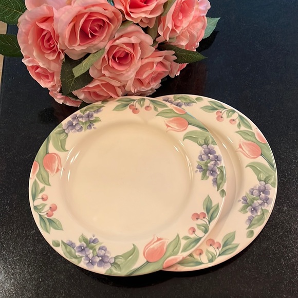 Dinner Plates - Garden Party (Garden Impressions) by PFALTZGRAFF - Set o… - Picture 1 of 6